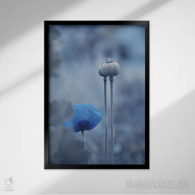 تابلو دکوراتیو ماه آبی اثر کلودیا دروسرت - نمای قابدار مشکی