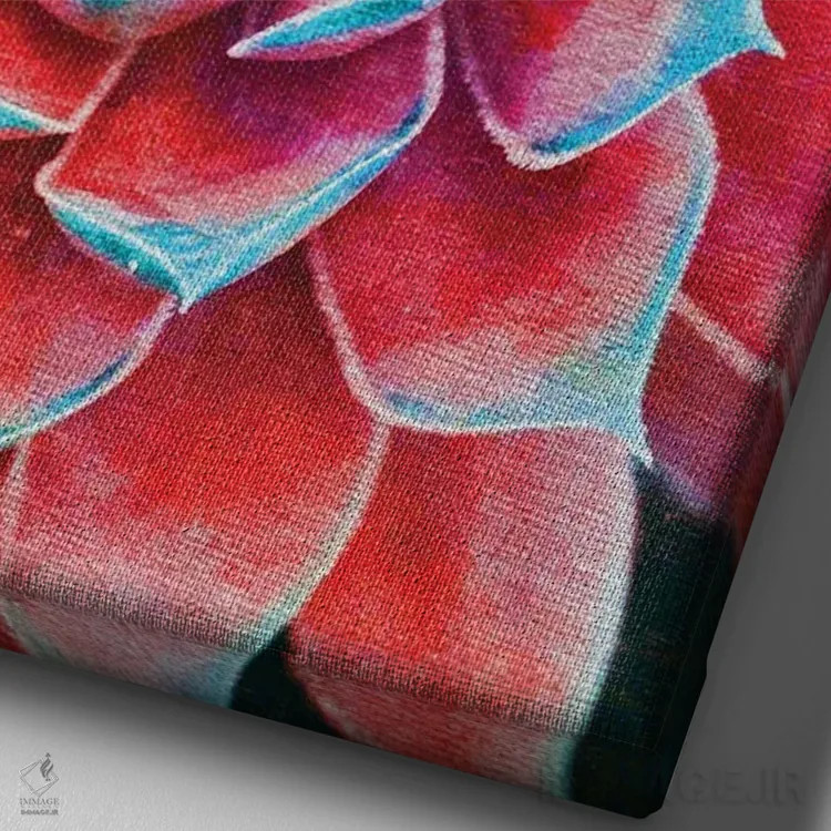 تابلو دکوراتیو گیاهان گوشتی اثر کلودیا دروسرت - نمای نزدیک بافت بوم