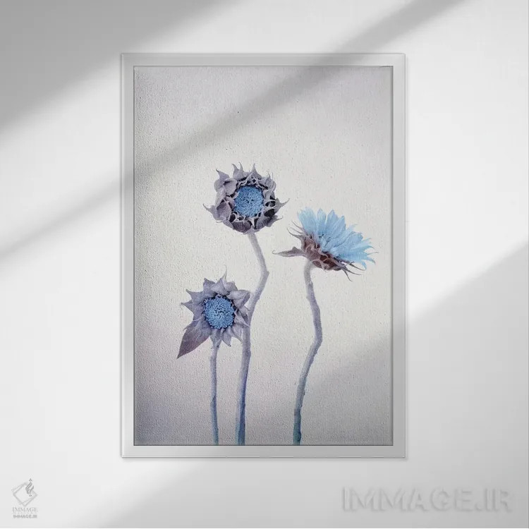 تابلو دکوراتیو آفتابگردان اثر کلودیا دروسرت - نمای قابدار سفید