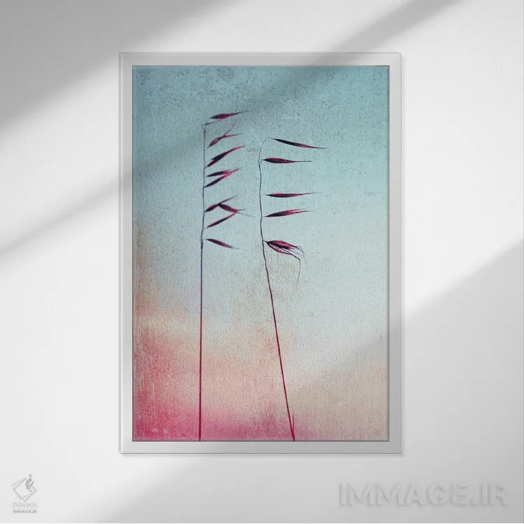 تابلو دکوراتیو نی اثر کلودیا دروسرت - نمای قابدار سفید