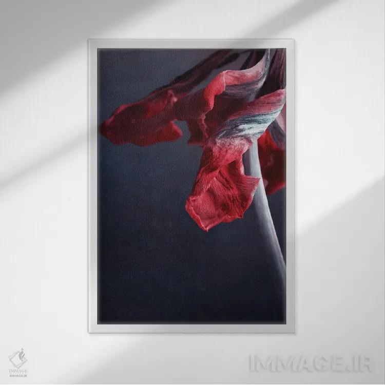 تابلو دکوراتیو قدرت اثر کلودیا دروسرت - نمای قابدار سفید