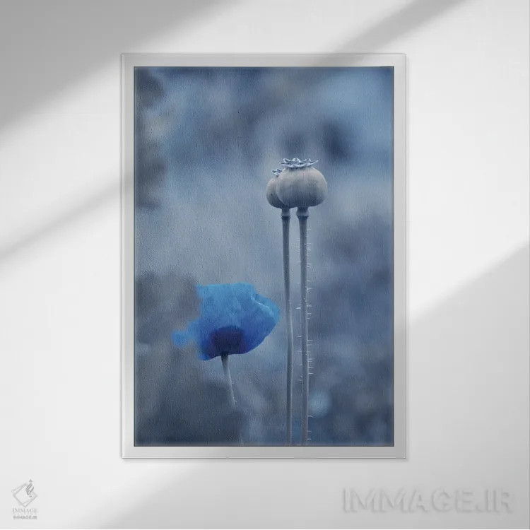 تابلو دکوراتیو ماه آبی اثر کلودیا دروسرت - نمای قابدار سفید