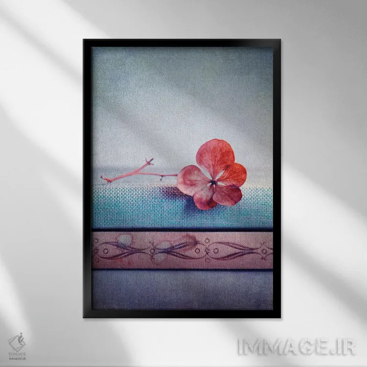 تابلو دکوراتیو هورتنسیا صورتی II اثر کلودیا دروسرت - نمای قابدار مشکی