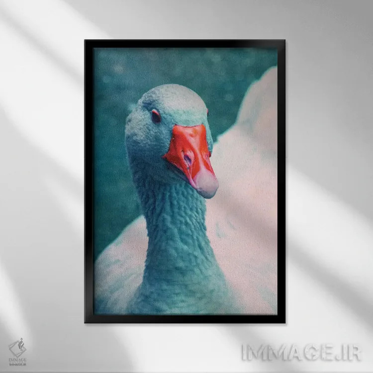 تابلو دکوراتیو خانم اردک اثر کلودیا دروسرت - نمای قابدار مشکی