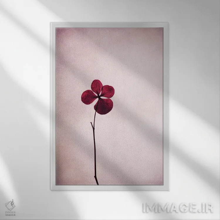 تابلو دکوراتیو هورتنسیا اثر کلودیا دروسرت - نمای قابدار سفید