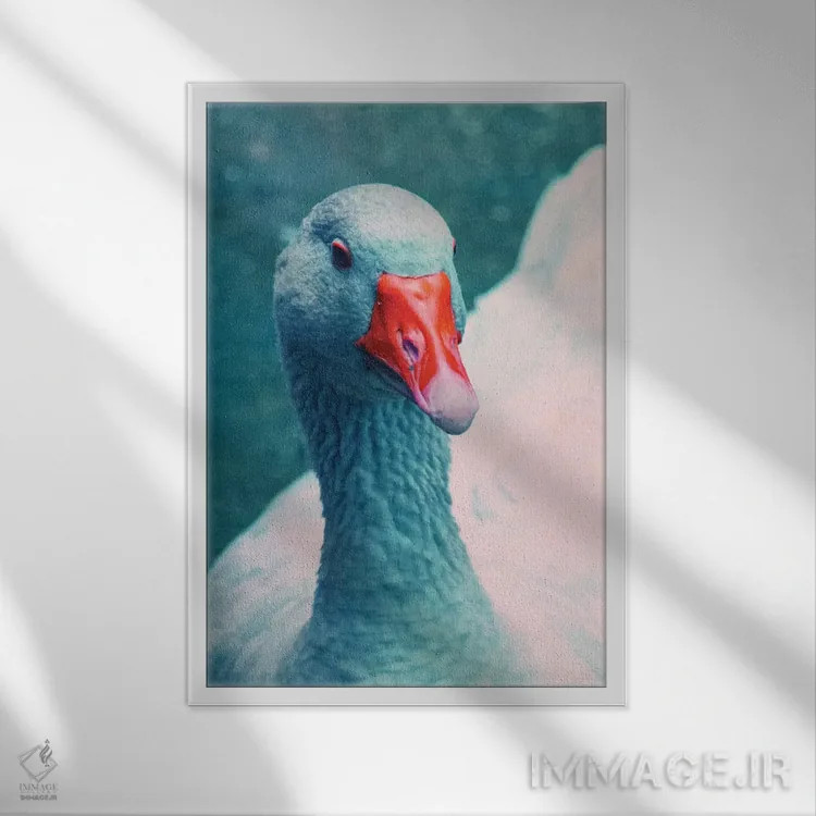 تابلو دکوراتیو خانم اردک اثر کلودیا دروسرت - نمای قابدار سفید