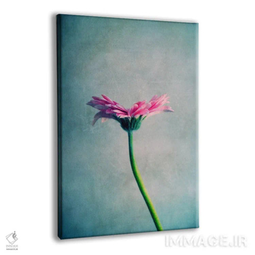 تابلو دکوراتیو مارگریت اثر کلودیا دروسرت - نمای پرسپکتیو محصول