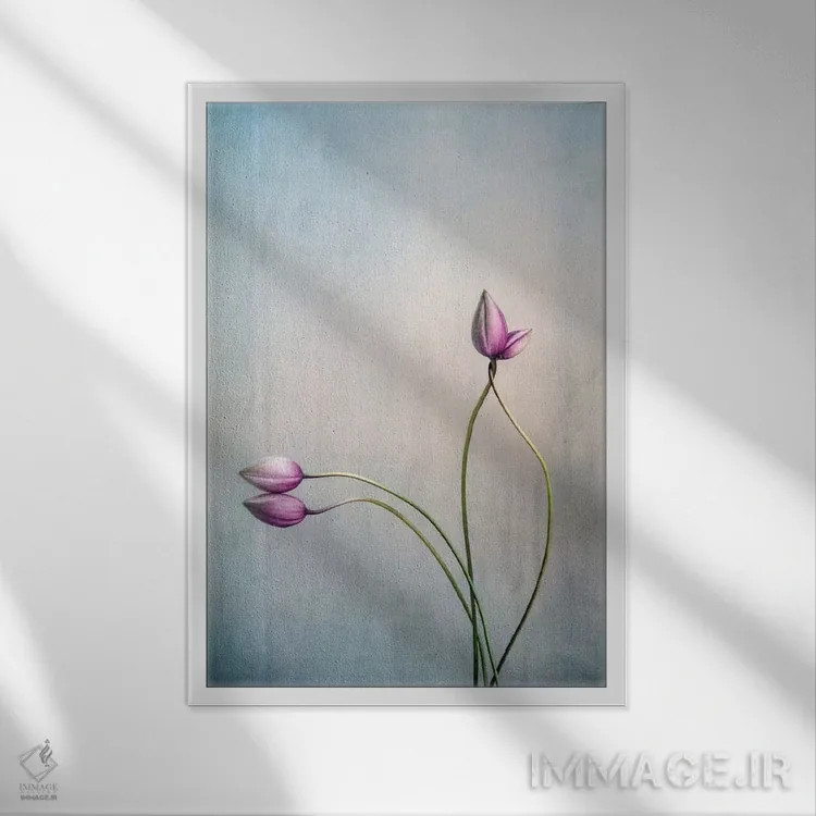 تابلو دکوراتیو عشق اثر کلودیا دروسرت - نمای قابدار سفید