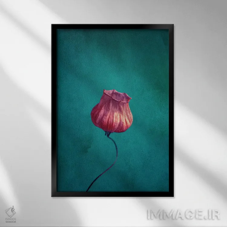 تابلو دکوراتیو خانم فانوس اثر کلودیا دروسرت - نمای قابدار مشکی