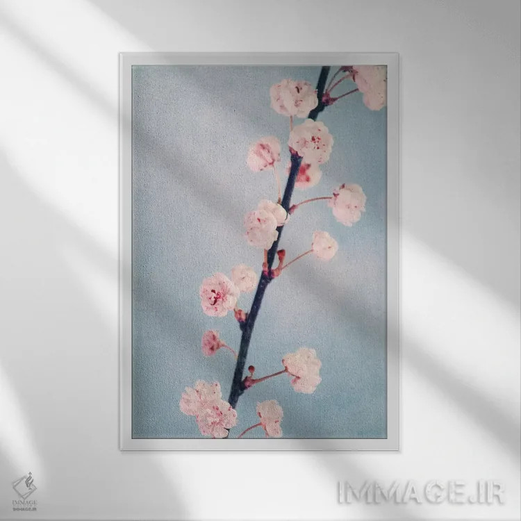 تابلو دکوراتیو گیلاس II اثر کلودیا دروسرت - نمای قابدار سفید