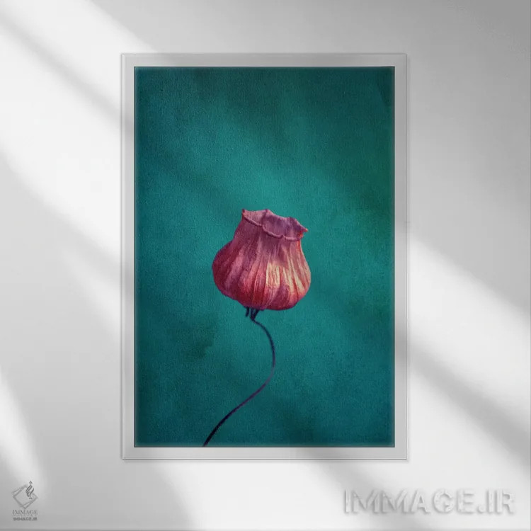 تابلو دکوراتیو خانم فانوس اثر کلودیا دروسرت - نمای قابدار سفید