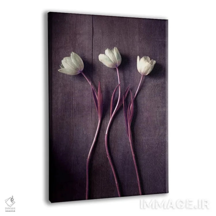 تابلو دکوراتیو رقص لاله ها اثر کلودیا دروسرت - نمای پرسپکتیو محصول