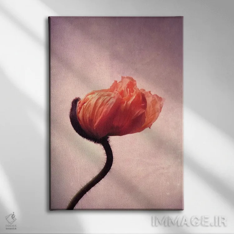 تابلو دکوراتیو شعله شقایق II اثر کلودیا دروسرت - نمای روبهرو روی دیوار