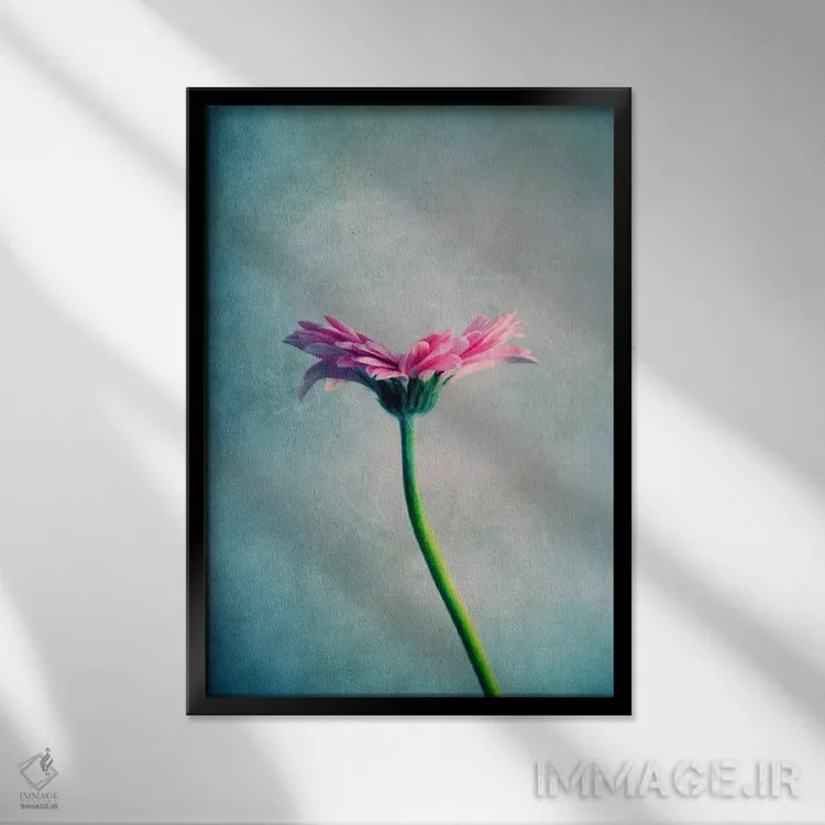 تابلو دکوراتیو مارگریت اثر کلودیا دروسرت - نمای قابدار مشکی