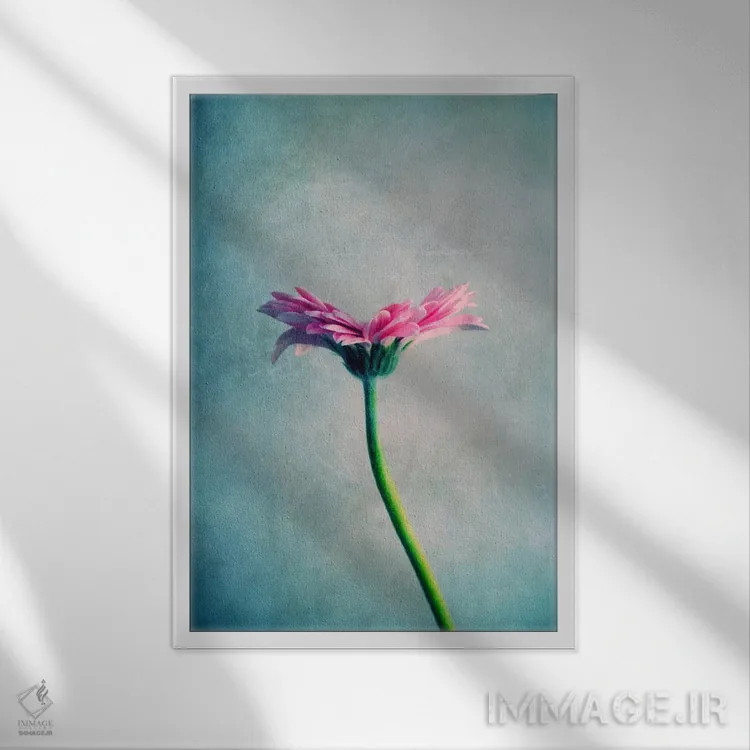 تابلو دکوراتیو مارگریت اثر کلودیا دروسرت - نمای قابدار سفید