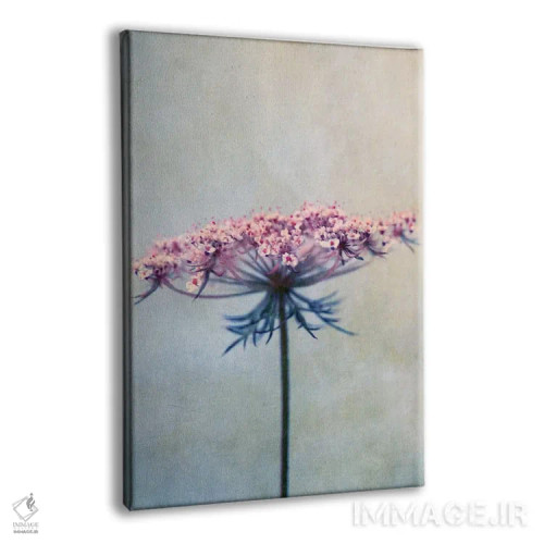 تابلو دکوراتیو هویج وحشی II اثر کلودیا دروسرت - نمای پرسپکتیو محصول