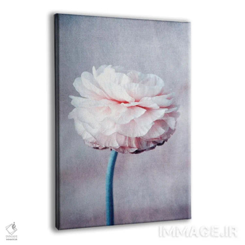 تابلو دکوراتیو خیال پردازی اثر کلودیا دروسرت - نمای پرسپکتیو محصول