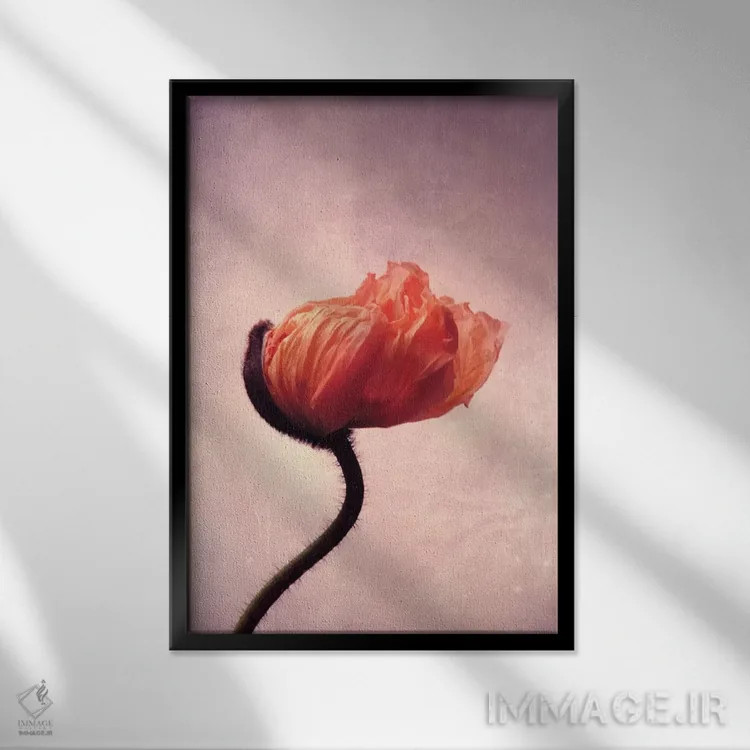 تابلو دکوراتیو شعله شقایق II اثر کلودیا دروسرت - نمای قابدار مشکی