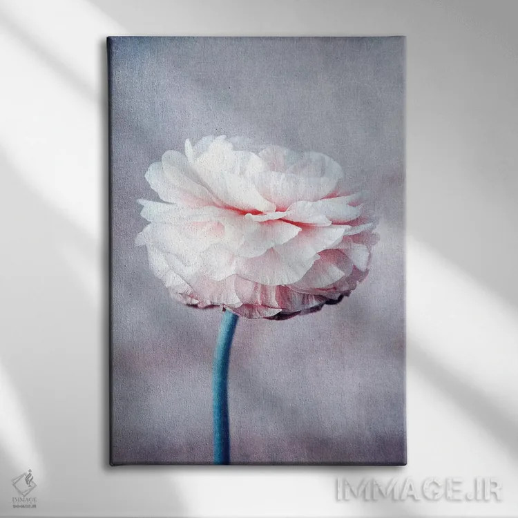 تابلو دکوراتیو خیال پردازی اثر کلودیا دروسرت - نمای روبهرو روی دیوار