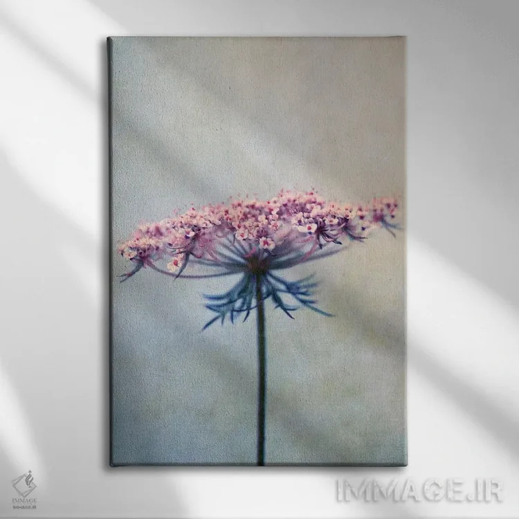 تابلو دکوراتیو هویج وحشی II اثر کلودیا دروسرت - نمای روبهرو روی دیوار