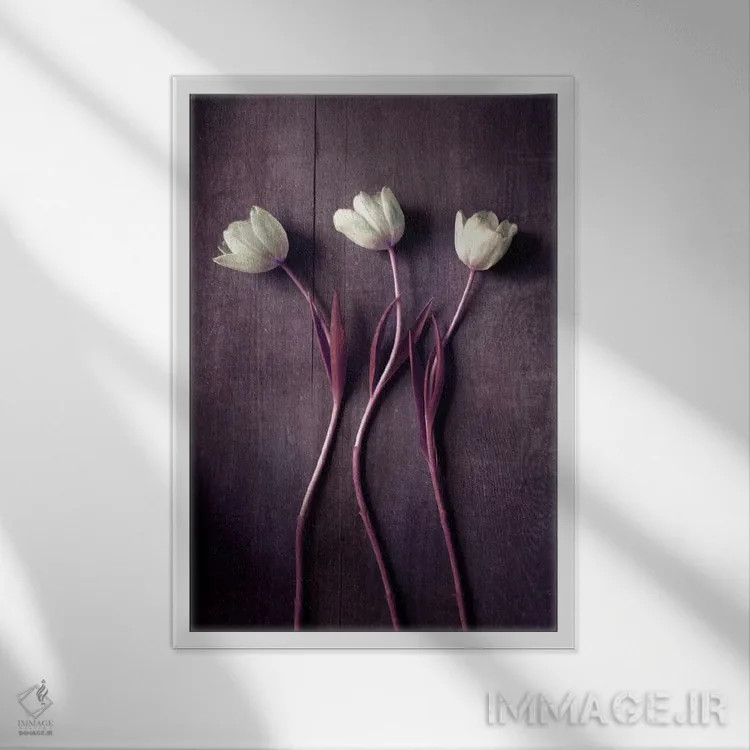 تابلو دکوراتیو رقص لاله ها اثر کلودیا دروسرت - نمای قابدار سفید