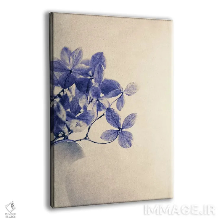 تابلو دکوراتیو مارکورس اثر کلودیا دروسرت - نمای پرسپکتیو محصول