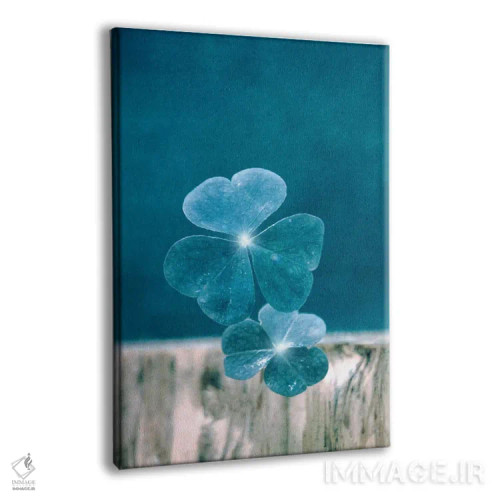 تابلو دکوراتیو خوش شانس اثر کلودیا دروسرت - نمای پرسپکتیو محصول