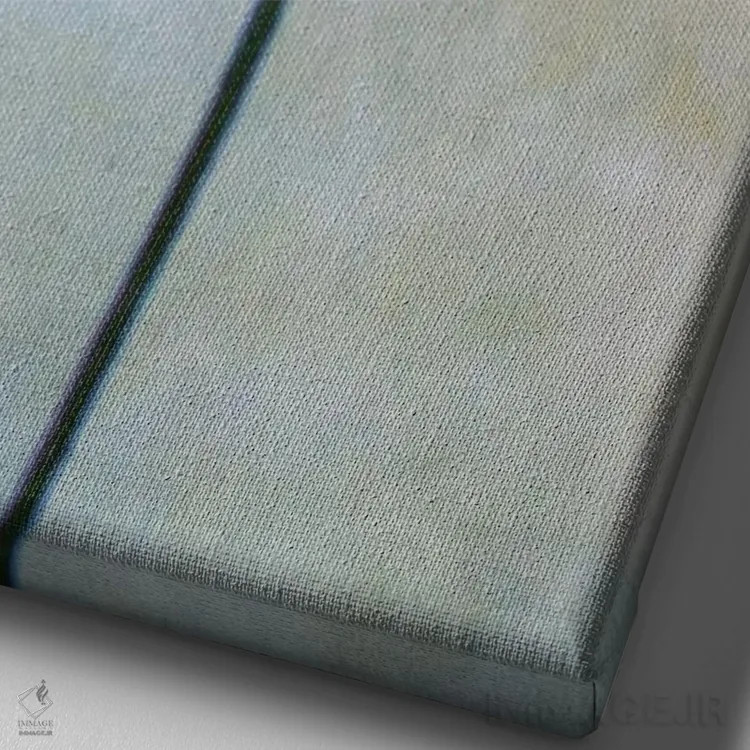 تابلو دکوراتیو هویج وحشی II اثر کلودیا دروسرت - نمای نزدیک بافت بوم