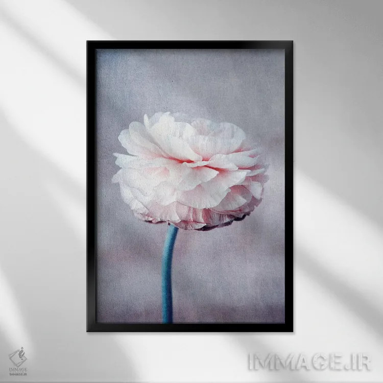 تابلو دکوراتیو خیال پردازی اثر کلودیا دروسرت - نمای قابدار مشکی