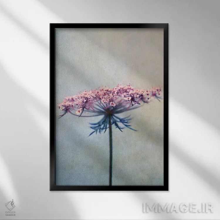 تابلو دکوراتیو هویج وحشی II اثر کلودیا دروسرت - نمای قابدار مشکی