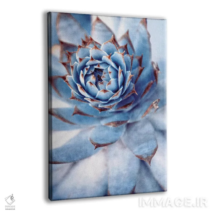 تابلو دکوراتیو معجزه اثر کلودیا دروسرت - نمای پرسپکتیو محصول