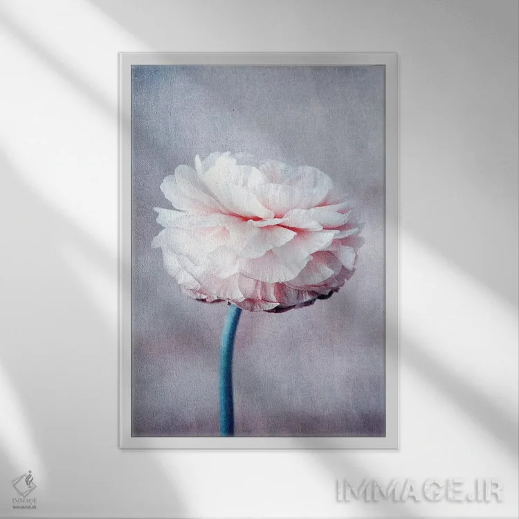 تابلو دکوراتیو خیال پردازی اثر کلودیا دروسرت - نمای قابدار سفید