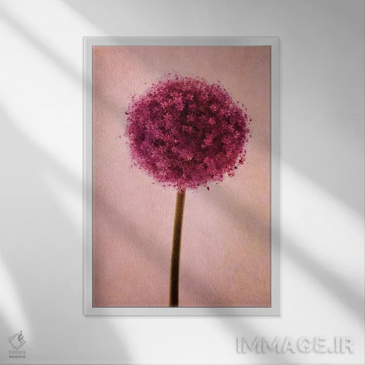 تابلو دکوراتیو آلیوم اثر کلودیا دروسرت - نمای قابدار سفید