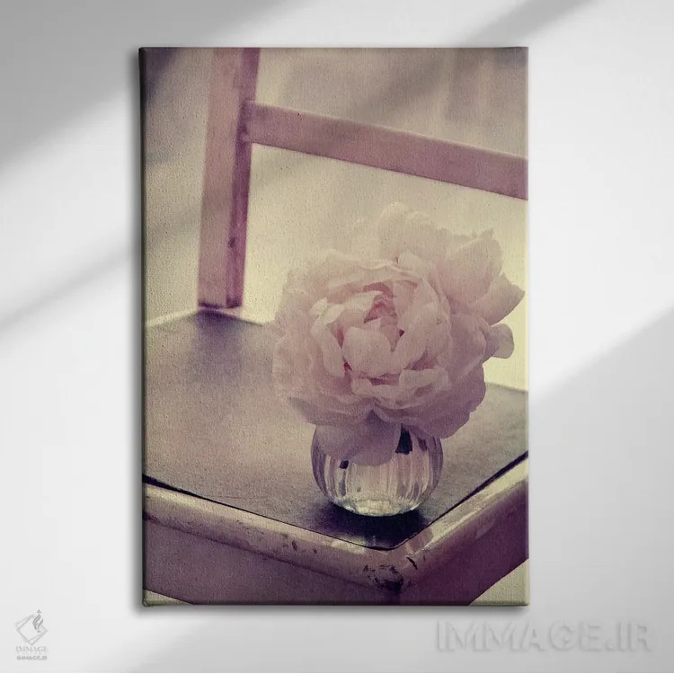 تابلو دکوراتیو گل صدتومانی اثر کلودیا دروسرت - نمای روبهرو روی دیوار