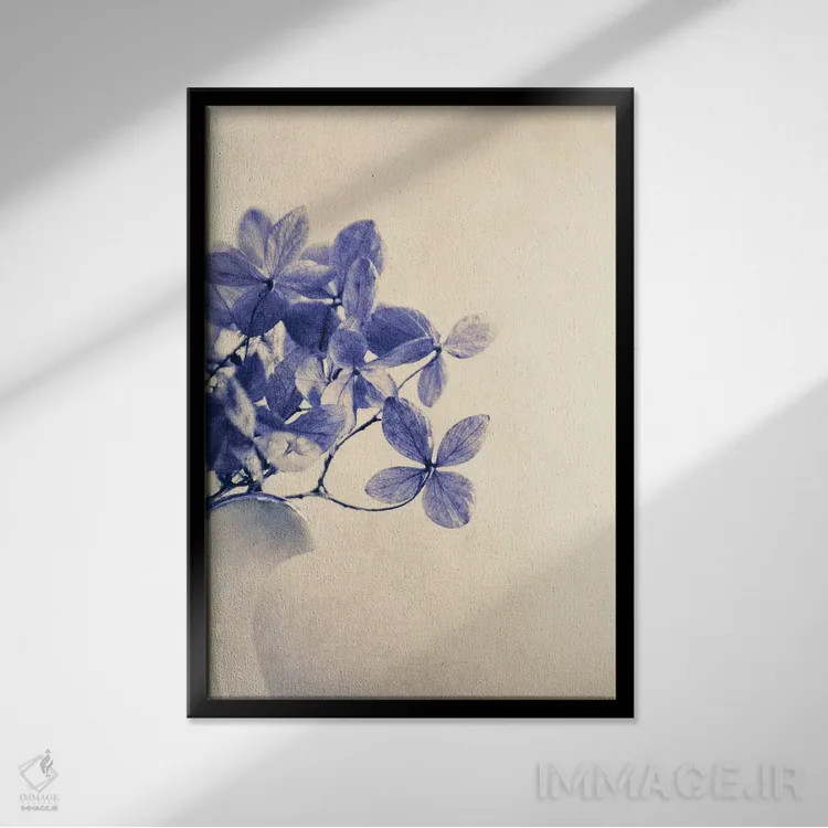 تابلو دکوراتیو مارکورس اثر کلودیا دروسرت - نمای قابدار مشکی