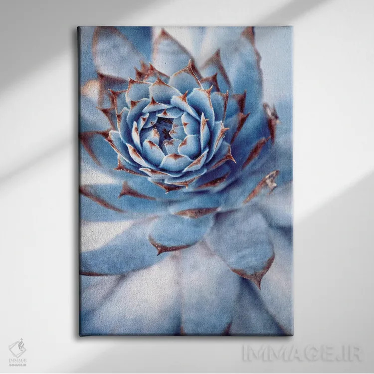 تابلو دکوراتیو معجزه اثر کلودیا دروسرت - نمای روبهرو روی دیوار