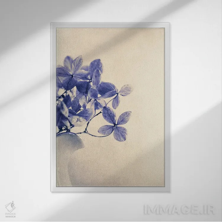 تابلو دکوراتیو مارکورس اثر کلودیا دروسرت - نمای قابدار سفید