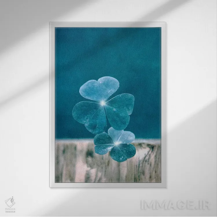 تابلو دکوراتیو خوش شانس اثر کلودیا دروسرت - نمای قابدار سفید