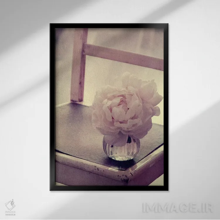 تابلو دکوراتیو گل صدتومانی اثر کلودیا دروسرت - نمای قابدار مشکی