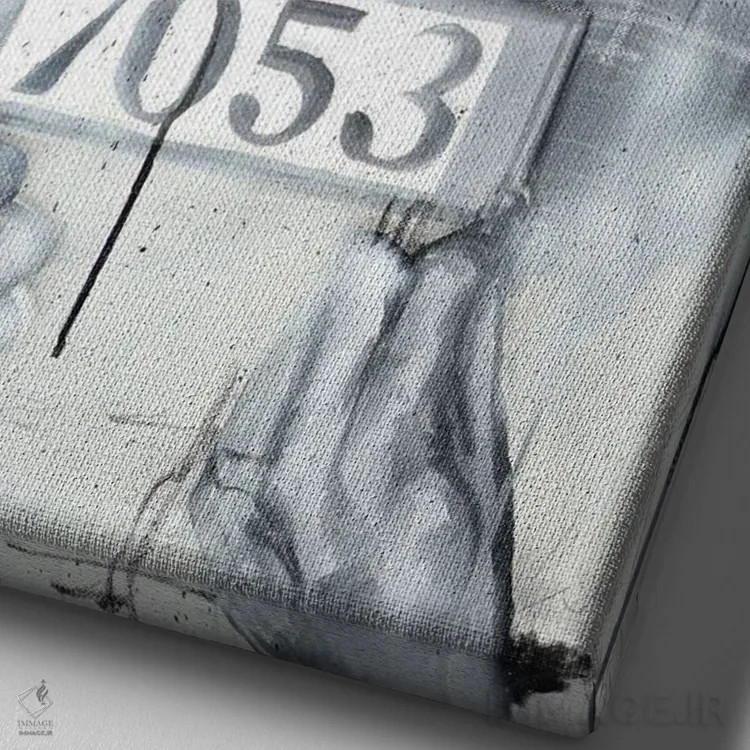 تابلو دکوراتیو رزا پارکس اثر کدی سن - نمای نزدیک بافت بوم