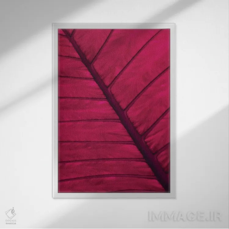 تابلو دکوراتیو برگ اثر کلودیا دروسرت - نمای قابدار سفید