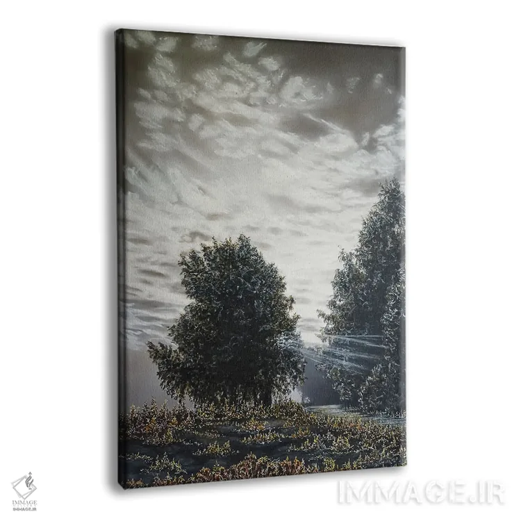 تابلو دکوراتیو نور و سایه ها اثر شارلوت ادر - نمای پرسپکتیو محصول