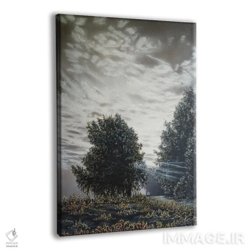 تابلو دکوراتیو نور و سایه ها اثر شارلوت ادر - نمای پرسپکتیو محصول