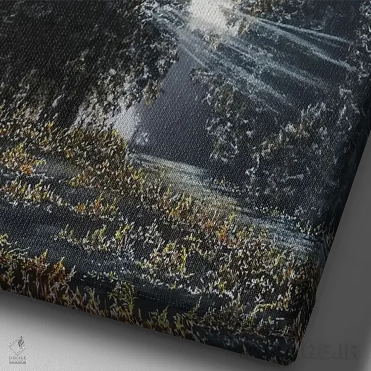 تابلو دکوراتیو نور و سایه ها اثر شارلوت ادر - نمای نزدیک بافت بوم