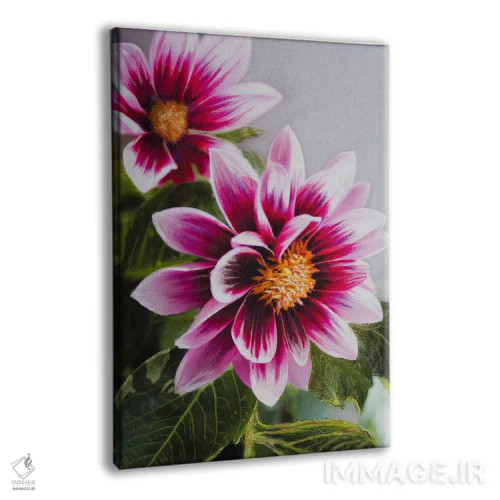 تابلو دکوراتیو صورت دا�یا در صورتی اثر شارلوت ادر - نمای پرسپکتیو محصول