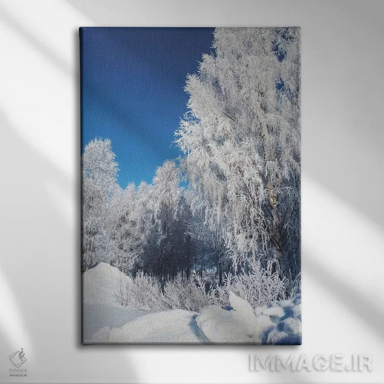 تابلو دکوراتیو برف ترد اثر شارلوت ادر - نمای روبهرو روی دیوار