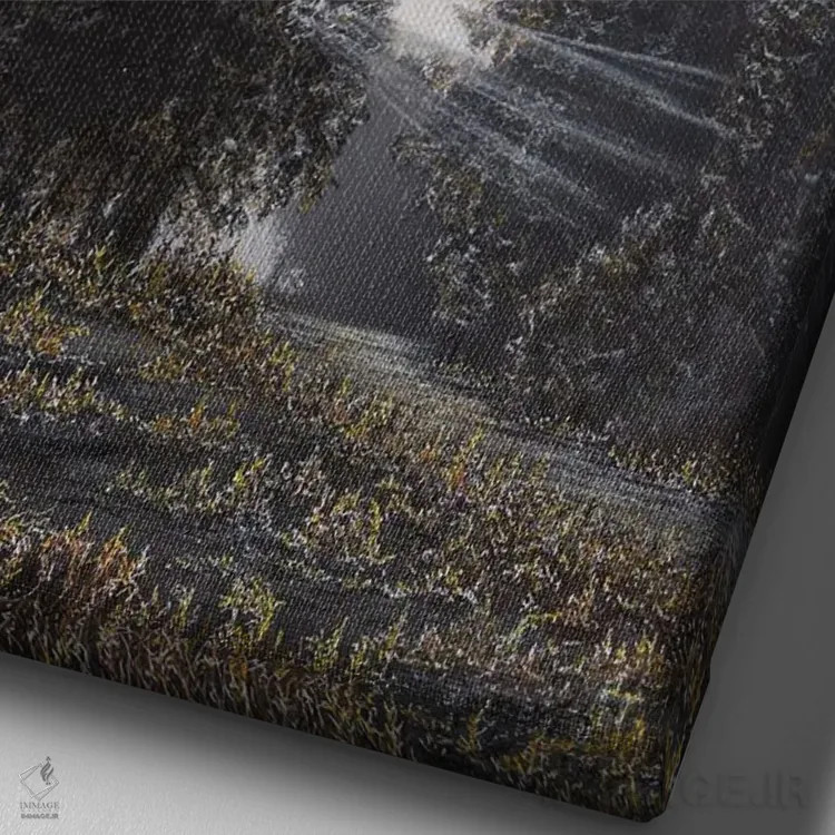 تابلو دکوراتیو نور و سایه ها اثر شارلوت ادر - نمای نزدیک بافت بوم