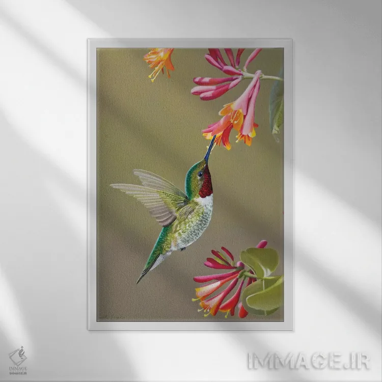 تابلو دکوراتیو برخورد نزدیک اثر کامی یل انگل - نمای قابدار سفید