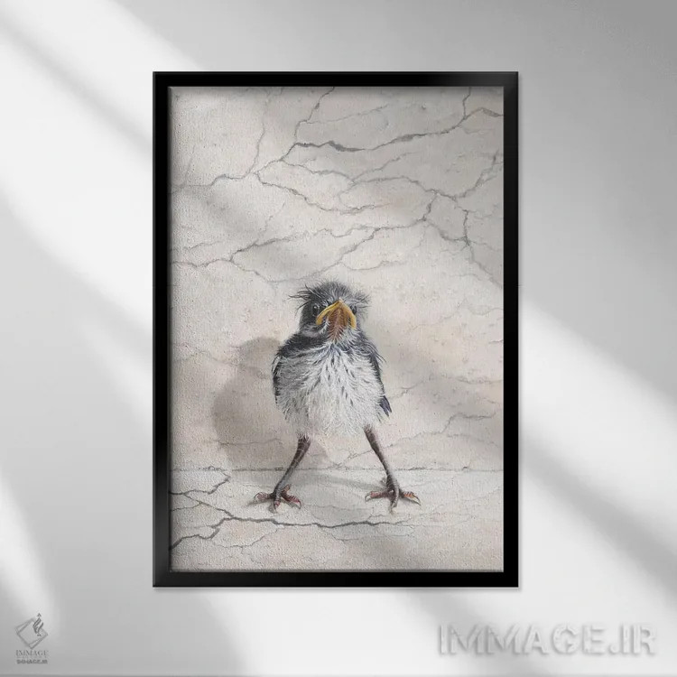 تابلو دکوراتیو آشفتگی دوست داشتنی اثر کامی یل انگل - نمای قابدار مشکی