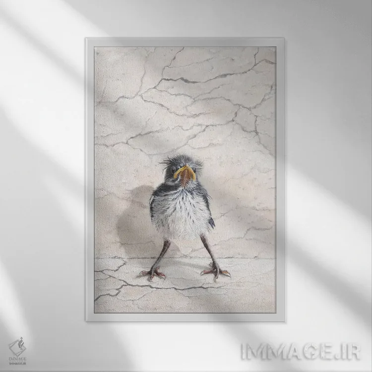 تابلو دکوراتیو آشفتگی دوست داشتنی اثر کامی یل انگل - نمای قابدار سفید